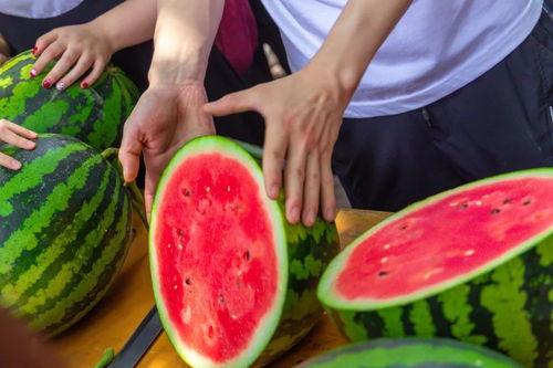 骑鱼吃瓜,探寻古代奇闻轶事