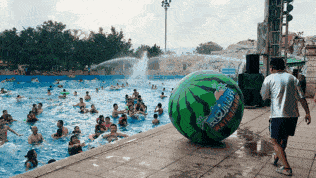 吃瓜冲浪人,畅游网络人生