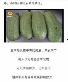 吃湖南小瓜,舌尖上的辣味诱惑