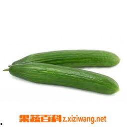扶手瓜怎么吃功效好,发挥最佳功效的烹饪方法